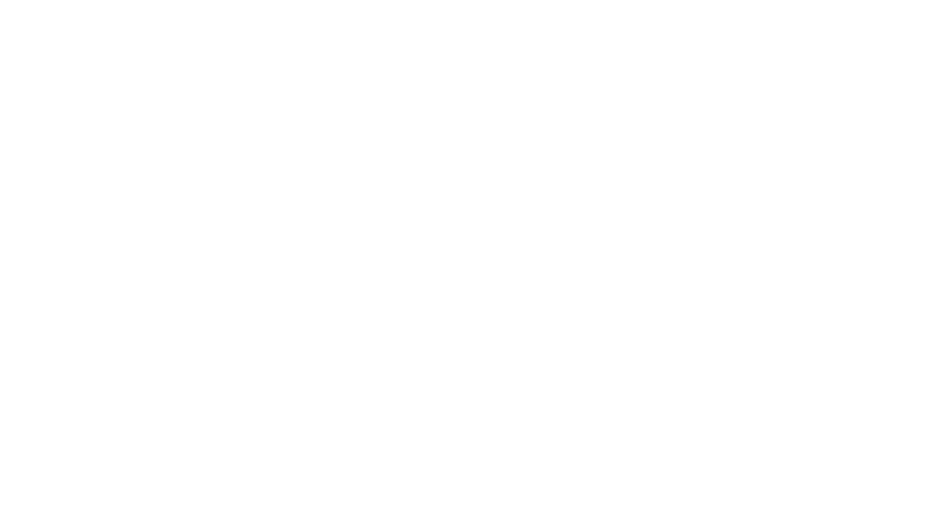 BSW Japan